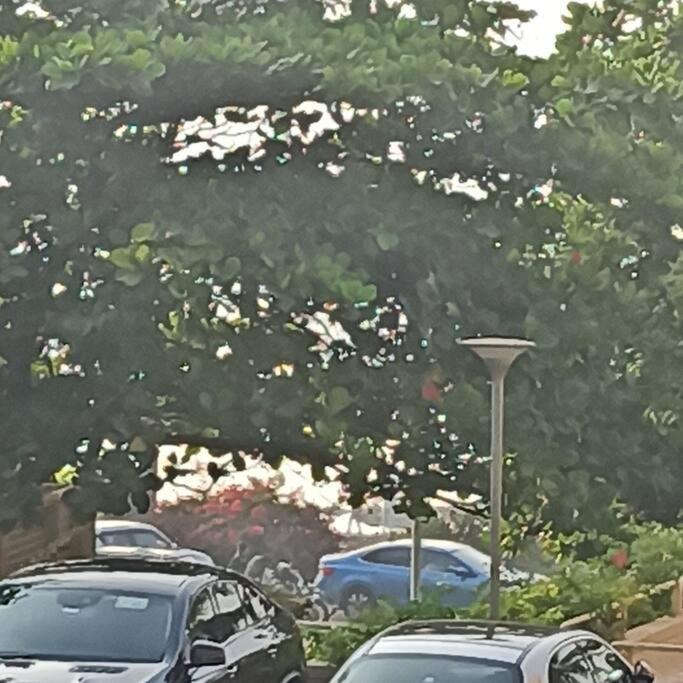 Appartement Cozy Private Ac Studio By The Sea Bandstand Bandra W Mumbai Nr Taj Lands End Extérieur photo