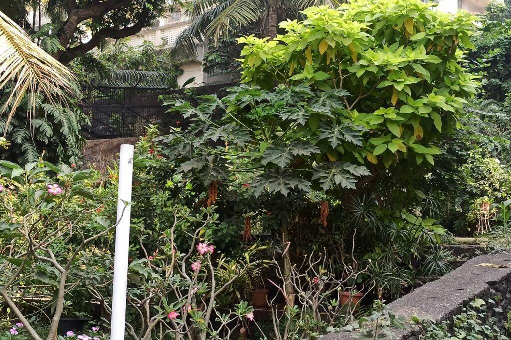 Appartement Cozy Private Ac Studio By The Sea Bandstand Bandra W Mumbai Nr Taj Lands End Extérieur photo